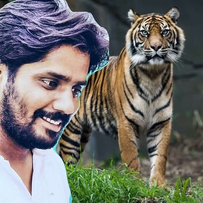 DashiYsrcp's profile picture.