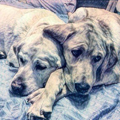 TereLovesLabs's profile picture. 