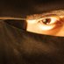 Black Revel Productions (@blackrevelfilms) Twitter profile photo Black Revel Productions (@blackrevelfilms) Twitter profile photo