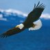@Aguilas0 (@aguilas010) Twitter profile photo @Aguilas0 (@aguilas010) Twitter profile photo