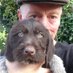 Harm Jan Wilbrink (@harmjanwilbrink) Twitter profile photo Harm Jan Wilbrink (@harmjanwilbrink) Twitter profile photo