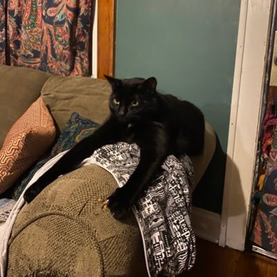 zacharygrhm's profile picture. ⚡️ | #AtlantaFalcons