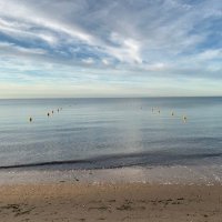 laurence (@lauther04) 's Twitter Profile