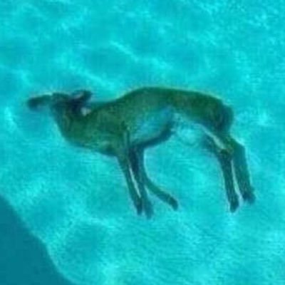 depthcontrol's profile picture. 