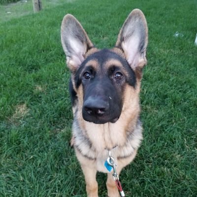 superdave4321's profile picture. Faire parti de la bonne famille te permet d'avoir confiance en n'importe qui ...mes eux ne peuves pas ce permettre d'avoir confiance en toi si ils te trahissent