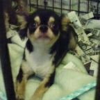 MaQtR209qhKRLGA's profile picture. あなたが思っているよりも、人生は短い。今を楽しんで。
頑張りすぎずほどほどにね。