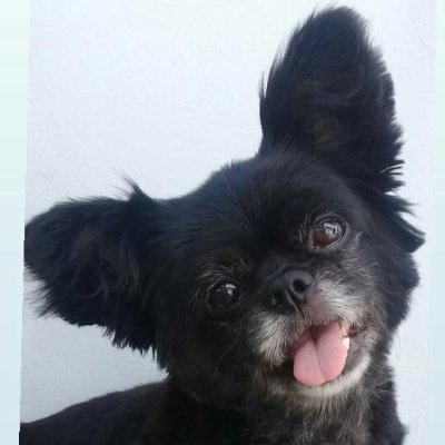 SmijoskiAxel's profile picture.