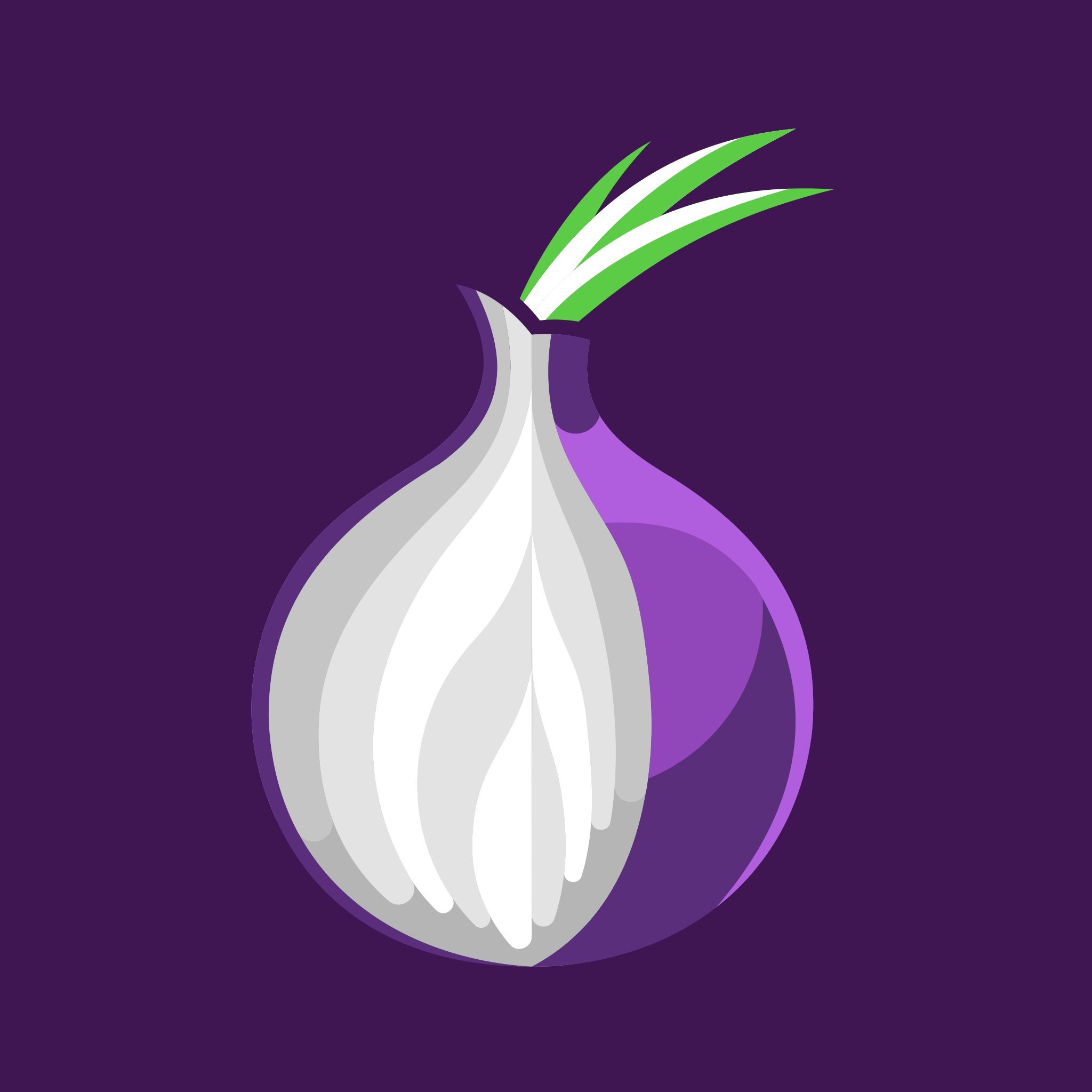 Darknet onion download не показывает видео tor browser мега