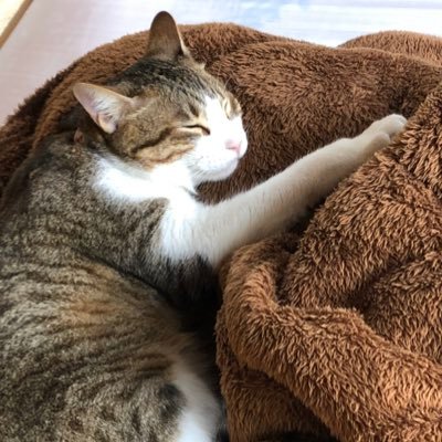 joke_automa's profile picture. 経理の人　元都留文