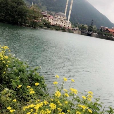 إذا أردت إكتشاف عقل شخص .. فأنظر إليه كيف يحاور من يخالفه الرأي
