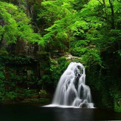 三重県名張市にある赤目四十八滝の公式アカウントです🍃「日本の滝100選」にも選ばれ、渓谷内では天然記念物のオオサンショウウオが生息しています。忍者修行体験が出来る「忍者の森」もあります🥷