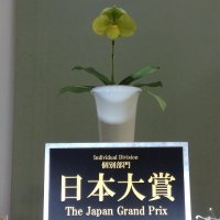 （株）東京オーキット・ナーセリー(@tokyo_orchids) 's Twitter Profile Photo