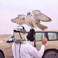 🎲🏛🤴King🤴🏛♦️ (@ahmed60039941) 's Twitter Profile