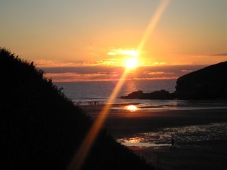 csubtropic's profile picture. 