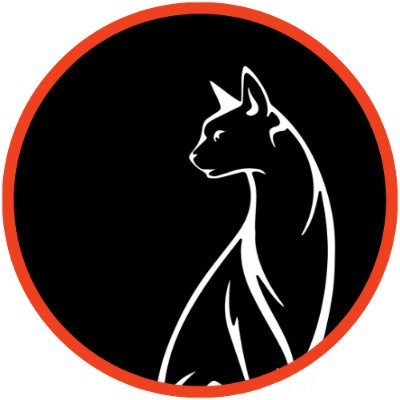 BlackCatCable's profile picture. American-Made, Artisanal High-end audio cables, interconnects & accessories.