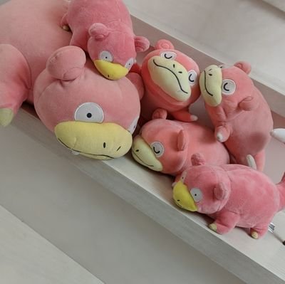 あなぐらこもりさんのプロフィール画像