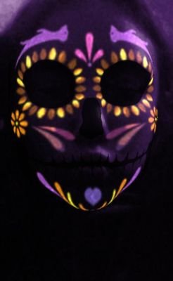 LMikitka's profile picture. I HAVE A CHALLENGE FOR YOU. ALL YOU HAVE TO DO IS FOLLOW ME AND TWEET THE FUNNIEST THING THAT YOU HAVE EVER HEAR OR SEEN.