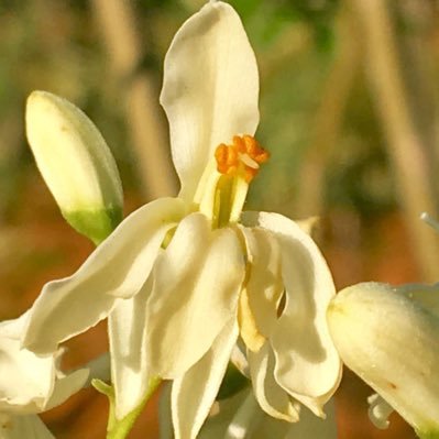 yerada's profile picture. Me gustan los buenos vinos , y los vinos de jerez amo la gastronomía y me encantan las recetas ,amo la vida creo en Dios. me gusta estar informada