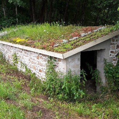 christa_jagers's profile picture. Positieve instelling, geen hokjesdenker.