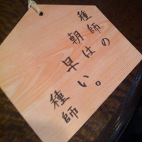 U子@種師 (@seedmaster_t) 's Twitter Profile