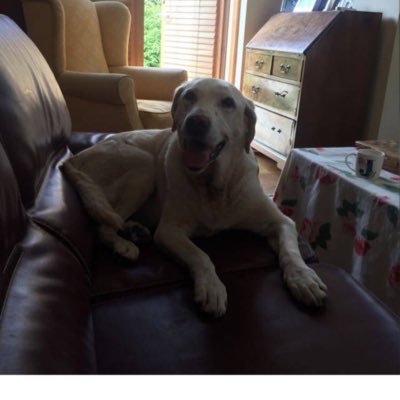 iamjustme62's profile picture. person with FND doing her best to figure it out