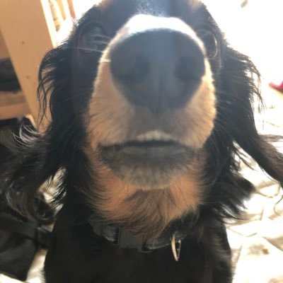 akira07260726's profile picture. あきのすけ