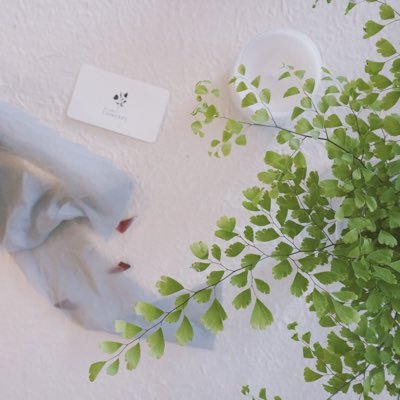 miniconcept1's profile picture. balloon and floral studio DM for inquiry