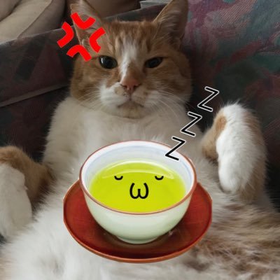 🐈猫茶🍵さんのプロフィール画像