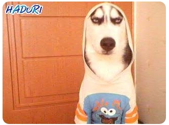 성공 불변의 법칙 1% 스피치 학원장 신동석 입니다 ^^ 이 시대를 살게 되어 아주 버겁고 혼란스럽지만 
여러분과 함께 산다는것이 큰 힘이 됩니다 ^^
