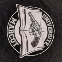 Triep-capdeville (@forzanay) 's Twitter Profile