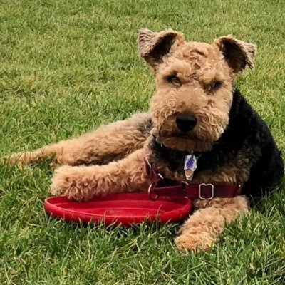 joshgreen's profile picture. Australian at large. Not playing on the Dallas Mavericks this year