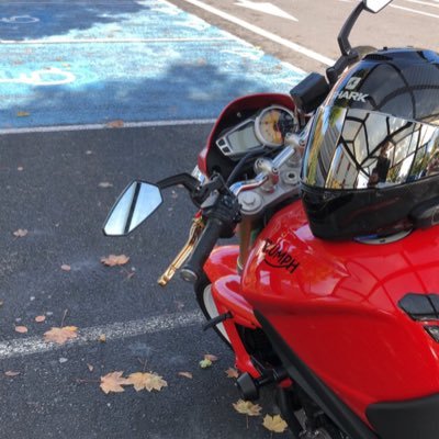 PeluchonAmaury's profile picture. 