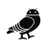 NYAndroidMeetup's profile image