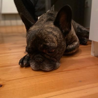 pahrt_34342's profile picture. 