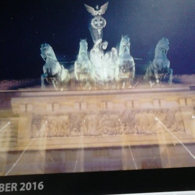 Translator (French) I translate medical, legal and forensic documents. Blogger. Vegan. Profile photo is the Ponte 25 de Abril, Lisboa. I'm from Scotland.