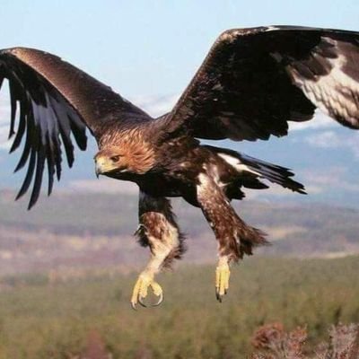 Siempre atentos y prestar ayuda con el único interés de regresar la tranquilidad a quien vive alguna situación de riesgo o emergencia lo antes posible