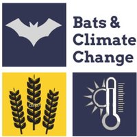 batstothefuture (@batstothefuture) 's Twitter Profile