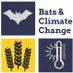 batstothefuture (@batstothefuture) Twitter profile photo batstothefuture (@batstothefuture) Twitter profile photo