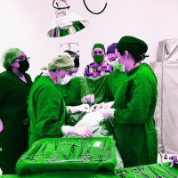 SoMe4SurgicalEducation (@me4education) 's Twitter Profile