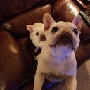 Wendy Larson - @lawchyck - Twitter