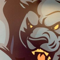CSC Panther Athletics (@cscpanthers) 's Twitter Profile