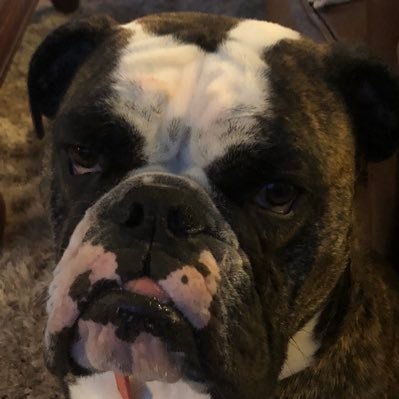 knabs44's profile picture. 