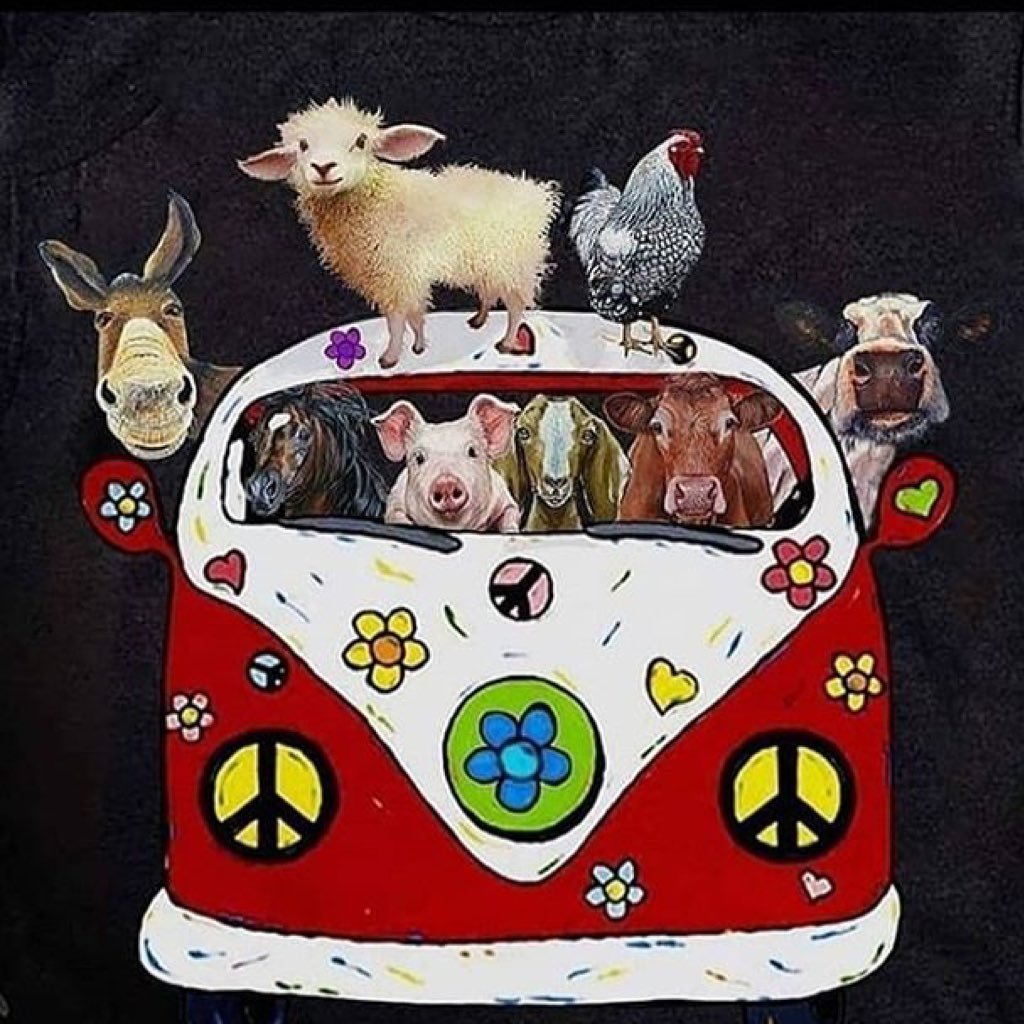 AylesAnge's profile picture. 🦊🐶🐷🐮🦆❤️🦋🐞🐝🐠🦒