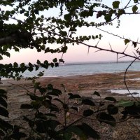 yusriel (@yusrielga) 's Twitter Profile