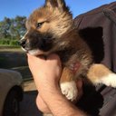 Jose Lezama - @JoseLez45188077 - Twitter