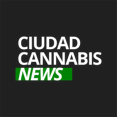 Ciudad Cannabis News (CCN) es tu marca informativa sobre la Marihuana en español 🌱 Todo el acontecer aquí 👇🏼