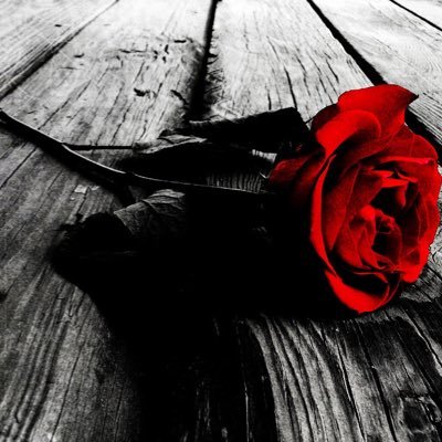 CatsandTattoos1's profile picture. 31, Atheist, Tattoos, Piercings, Childfree, 420 💨