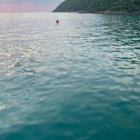 peach.peera (@peachpeera) 's Twitter Profile