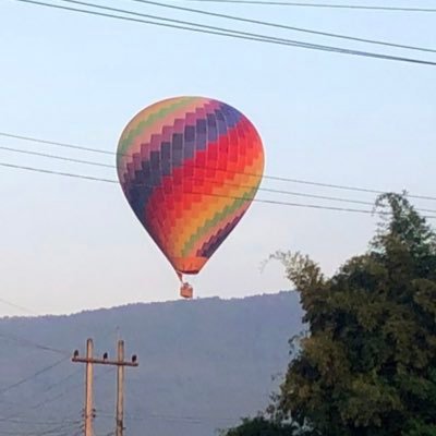 某パチンコ店で生息中