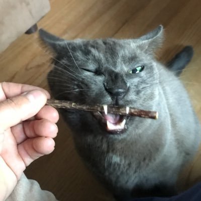 jonspektor's profile picture. Nothing